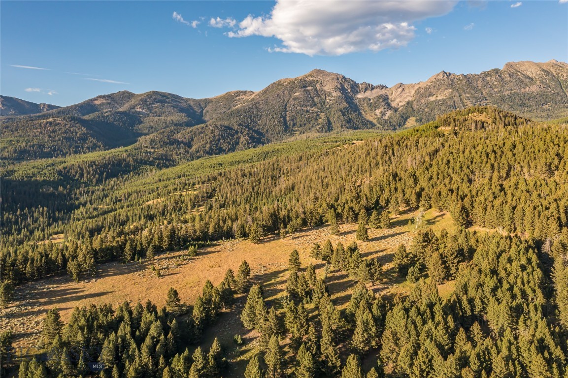 Moonlight Basin Ranch - Land