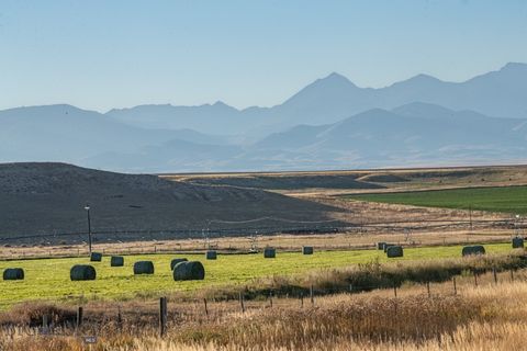 1891 Spring Creek Road Dillon MT 59725