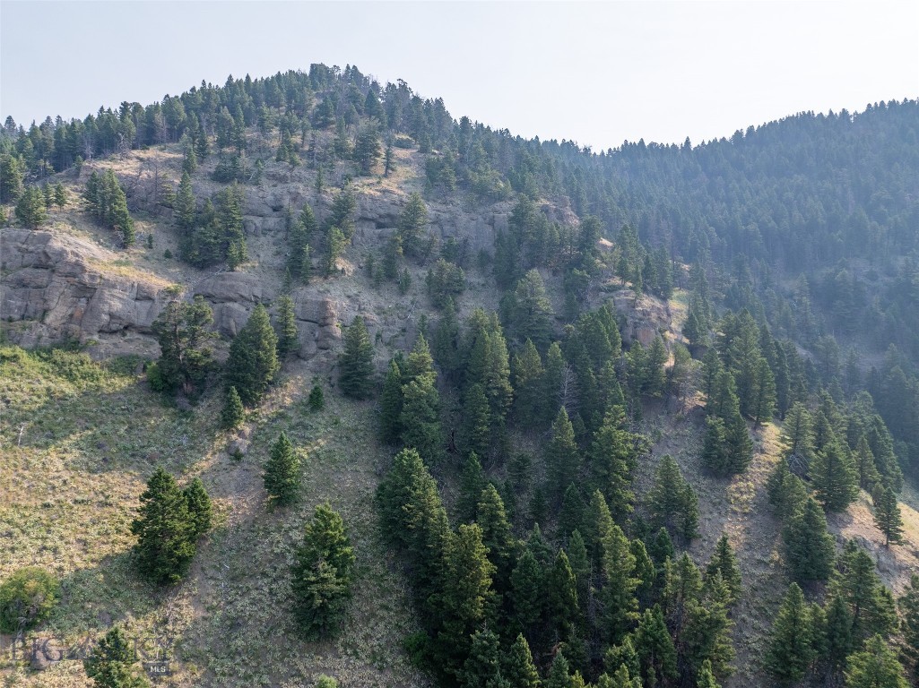 Battle Ridge Ranch - Land