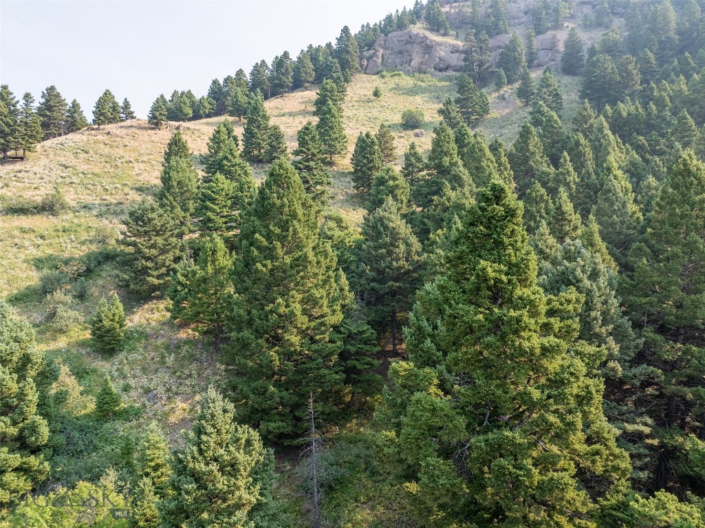 Battle Ridge Ranch - Land
