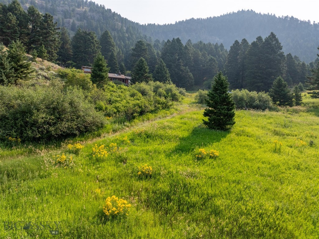 Battle Ridge Ranch - Land