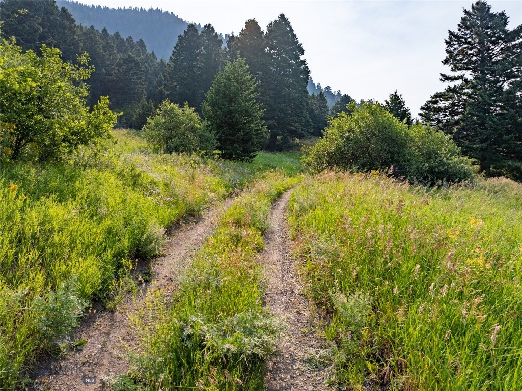 Battle Ridge Ranch - Land