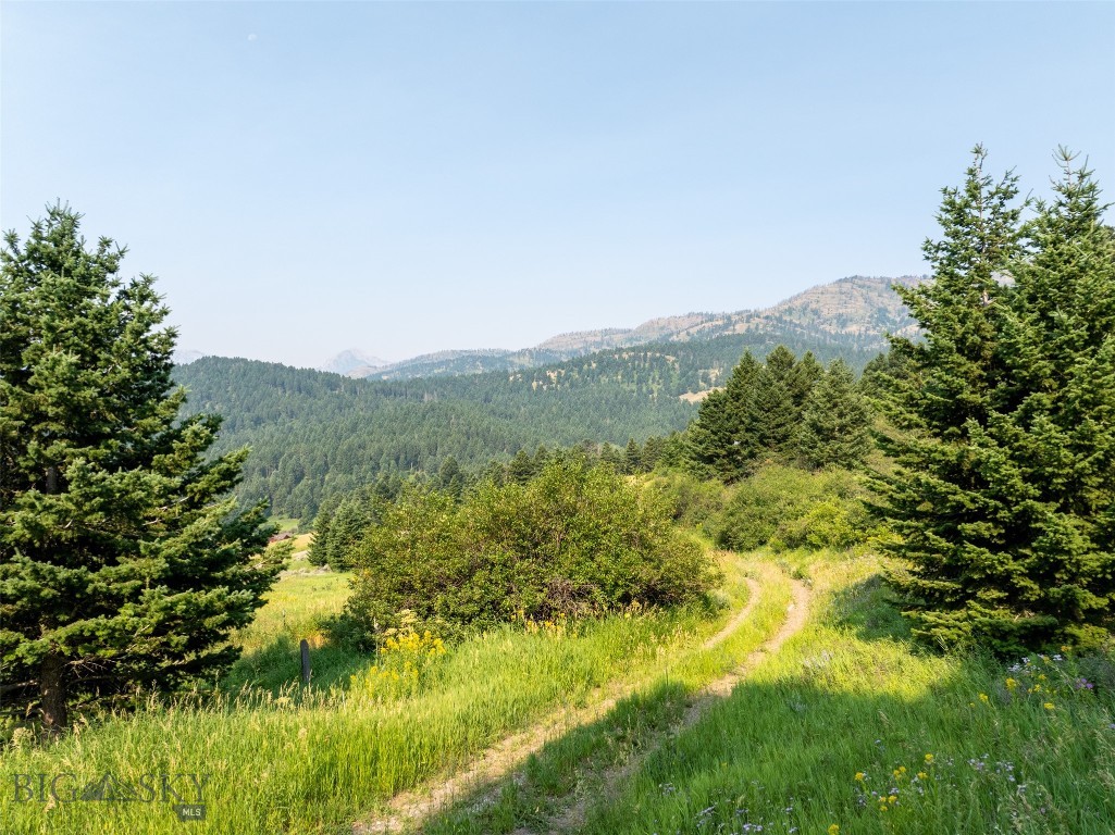 Battle Ridge Ranch - Land