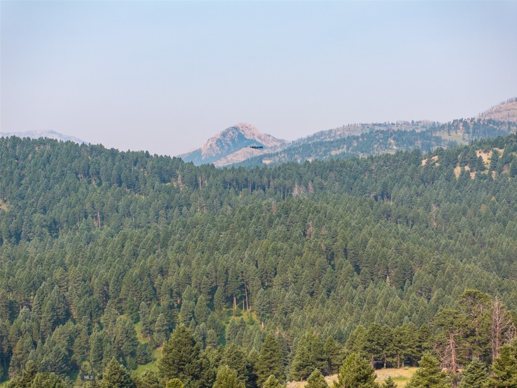 Battle Ridge Ranch - Land