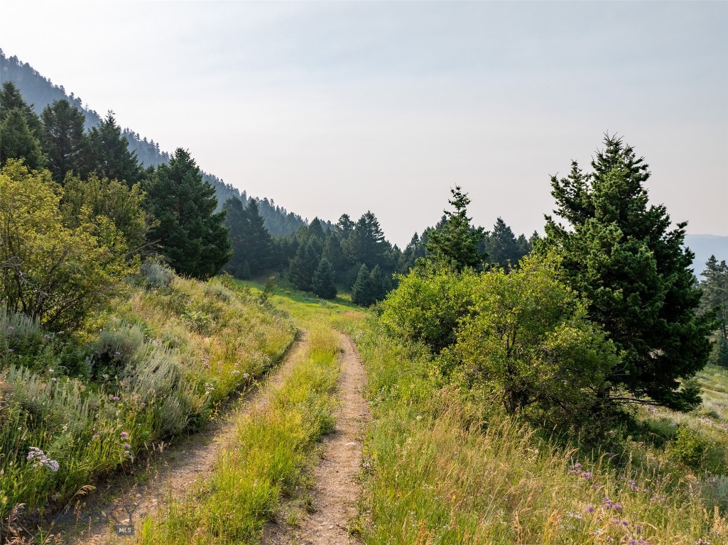 Battle Ridge Ranch - Land