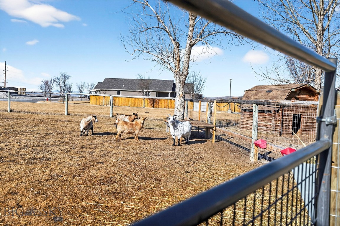 Minor Subdivision - Residential