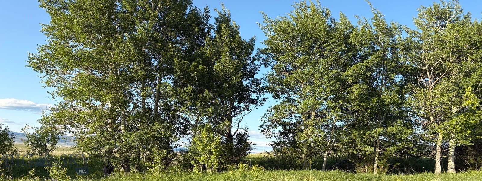 TBD South Valley Road