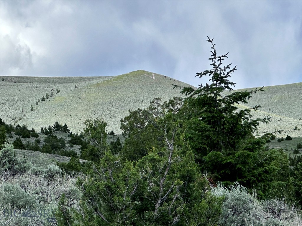199 LOTS Multiple locations within VC City Limits