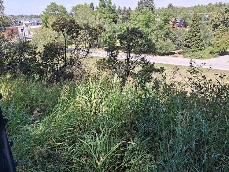 North Addition - Land
