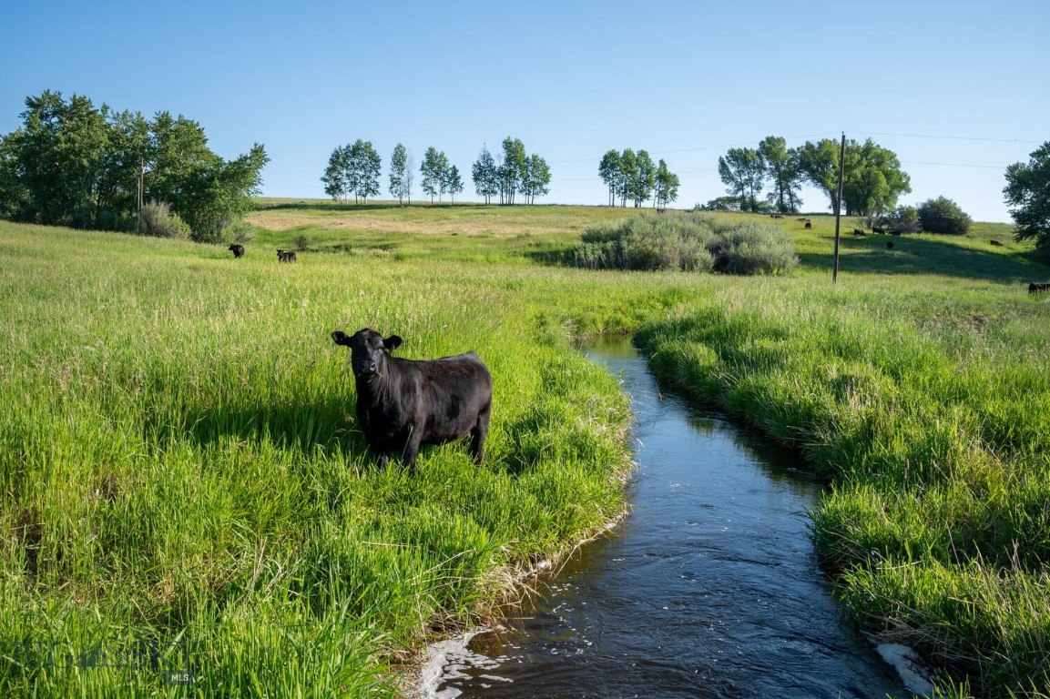 Harrison, Montana 59735, United States, 3 Bedrooms Bedrooms, ,2 BathroomsBathrooms,Residential,Active,186914