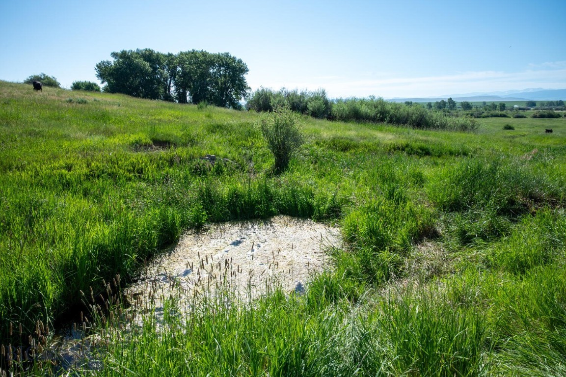 Harrison, Montana 59735, United States, 3 Bedrooms Bedrooms, ,2 BathroomsBathrooms,Residential,Active,186914