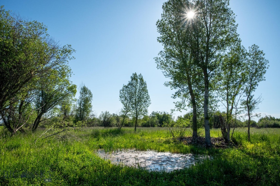 Harrison, Montana 59735, United States, 3 Bedrooms Bedrooms, ,2 BathroomsBathrooms,Residential,Active,186914