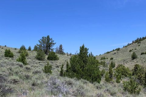 Photo of TBD Silver Light Lode & Champion Lode, Radersburg, MT 59641 (MLS # 409069)