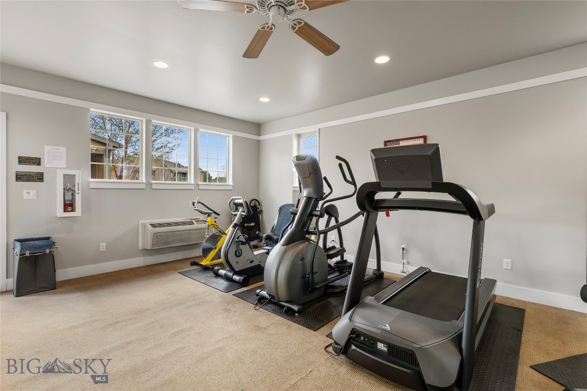 Bronzeleaf Condos - Residential