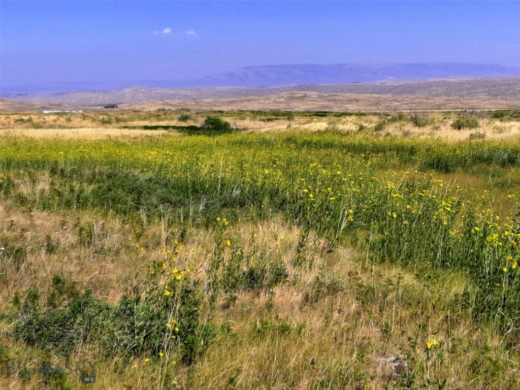 Other - Land