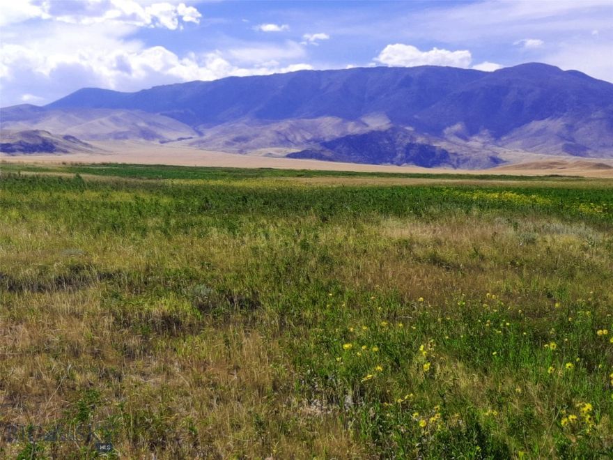 Owner will finance! This 22 acre property on Stagecoach Spur is an Oasis at the base of the Beartooth Mountains with an undeveloped spring and lush sub-irrigated meadows, a place where the deer and the antelope roam along with elk. It is on the eastern edge of the Greater Yellowstone Ecosystem with Yellowstone National Park only 50 miles to the west as the crow flies. Located in the heart of Big Sky country, it is offers huge views, borders public land and is just 700 feet from underground power.  It has several undeveloped spring and acres of lush sub-irrigated meadow that makes for a wonderful area for wildlife. Just about every form of wildlife found in Yellowstone Park, except for Bison, still roam here including some upland game birds such as pheasants, sage grouse, sharptail grouse and Hungarian partridge. The BLM public land to the west extends for miles into the mountains and then into the National Forest! With no existing structures here the new owner can choose which dramatic build site works best for him. Underground electricity is just to the north. For the discerning buyer, this land boasts characteristics in high demand and low supply in the recreational ranch market. Adjacent parcels are available as well. 65 miles from Billing's commercial airport, 50 miles north of Cody, Wyoming, and only 30 miles from Red Lodge, Montana and its ski area. The Clark's Fork of the Yellowstone River is only 2 or 3 miles to the east and offers some great trout fishing.   Mild covenants, but no HOA.  If you are looking for your piece of paradise in the Mountain West, come check out this special property.
