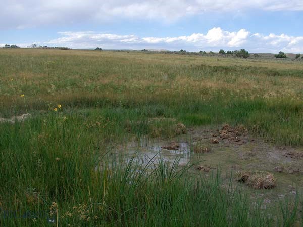 Other - Land