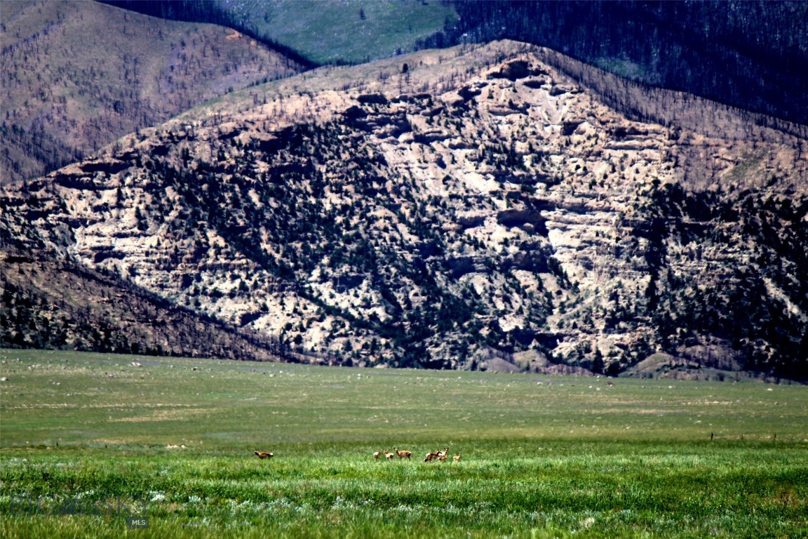 Other - Land