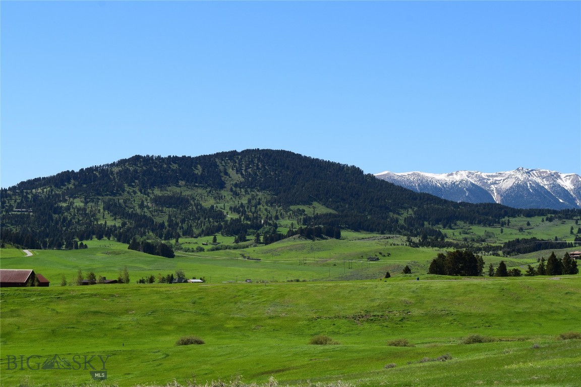 Certificate Of Survey COS - Land