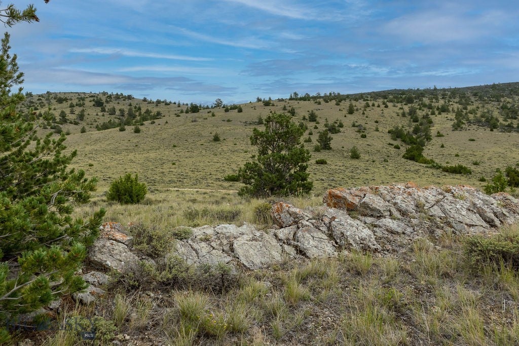 NHN Milligan Canyon Road