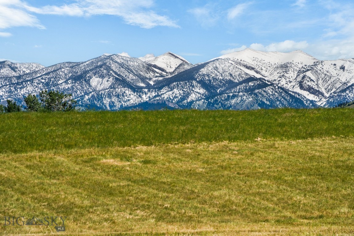 Springhill Reserve - Land