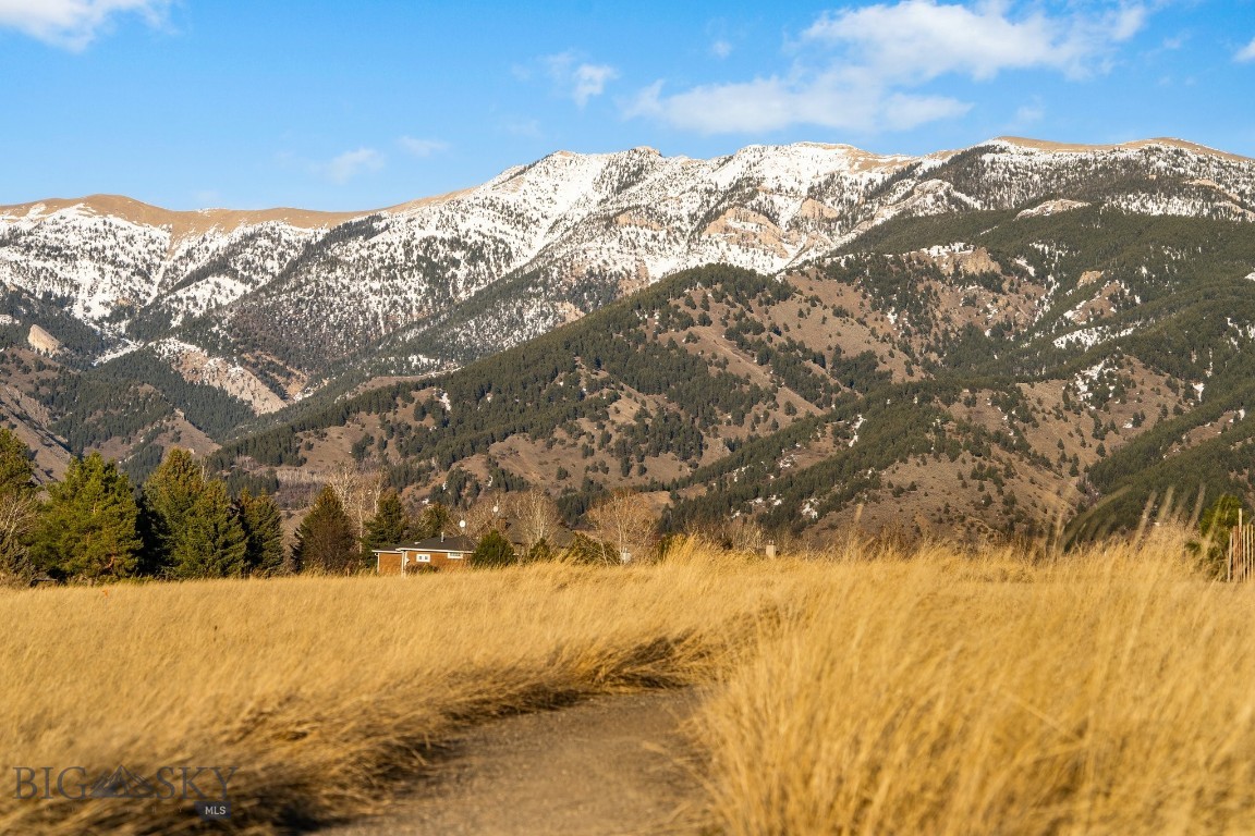 Springhill Reserve - Land