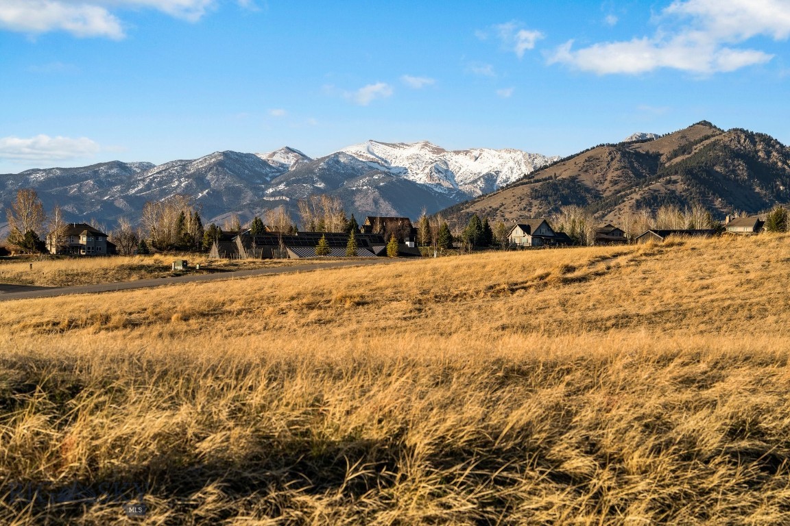 Springhill Reserve - Land