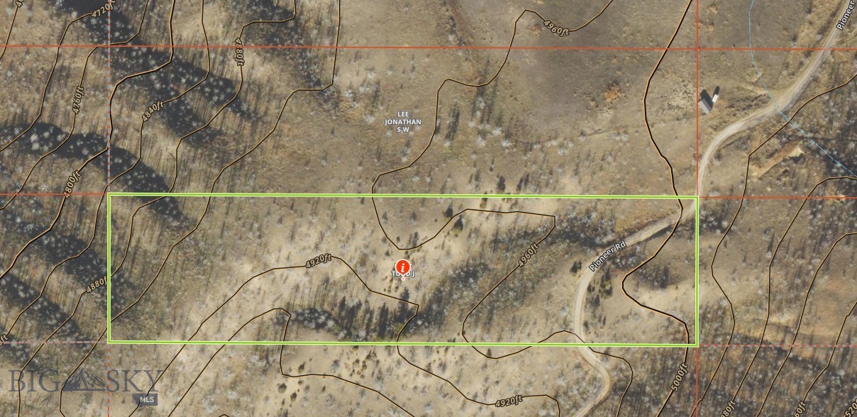 Ponderosa Pines - Land