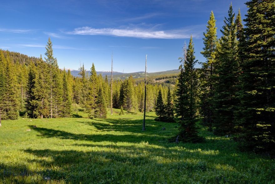 This is the Big Sky property that you've been looking for! Offering 8+ acres of land, large open meadows, a natural spring on the property, old growth trees, and a cul-de-sac location, this rare find has it all! Panoramic views, plenty of wildlife, wildflowers galore, a private 5 lot neighborhood, and close proximity to Big Sky's Mountain Village. HORSES ARE ALLOWED on this unique piece! Driveway is in, buyer is responsible for well and septic. A very rare find for a property this close to the mountain village!