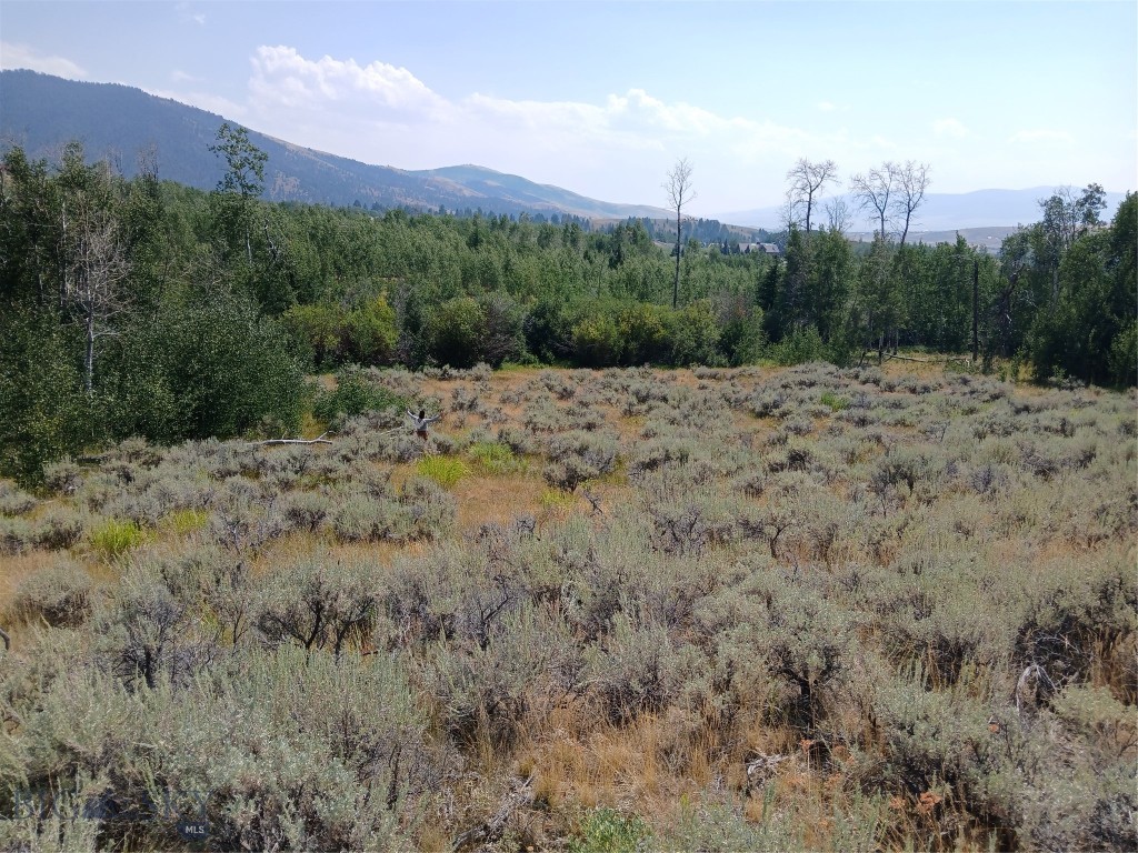 TBD Rainey Mountain Road