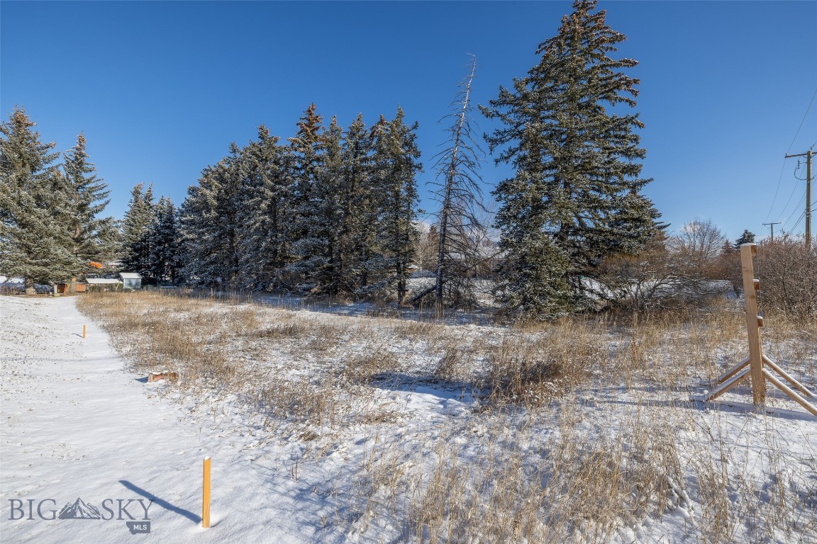 Maple Terrace - Land