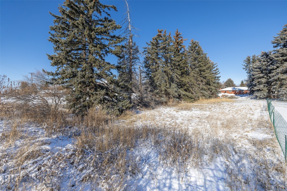 Maple Terrace - Land