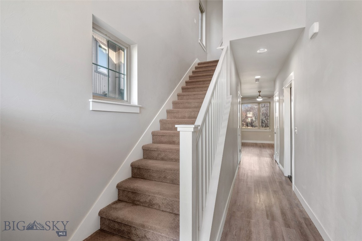 Cattail Creek - Residential