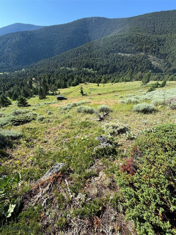 Yellowstone Basin Properties - Land