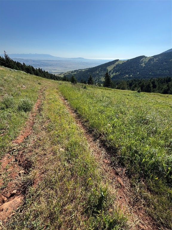 Yellowstone Basin Properties - Land