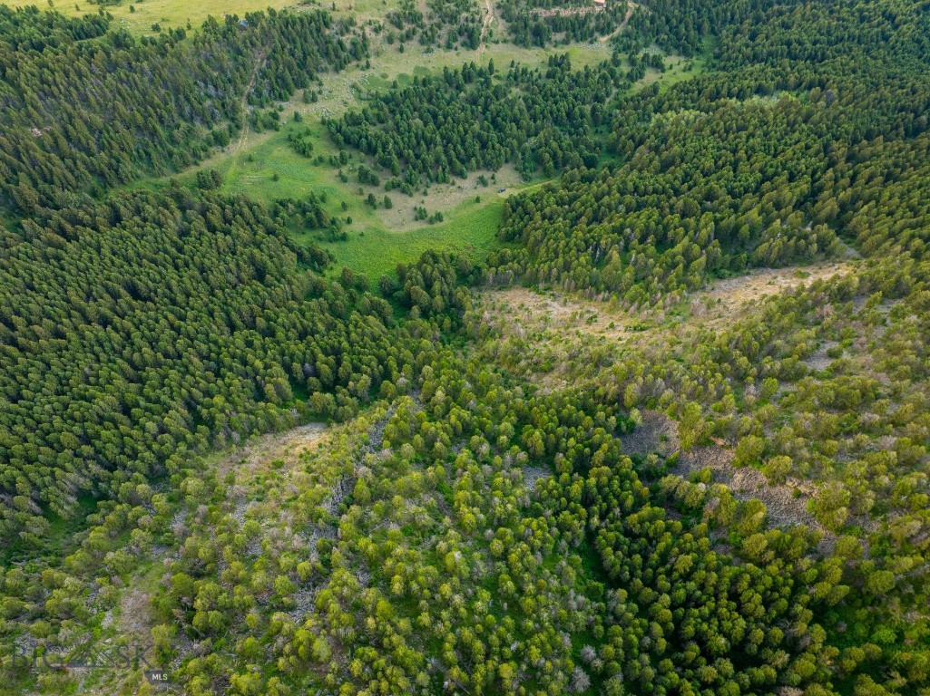 Yellowstone Basin Properties - Land