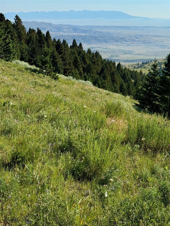 Yellowstone Basin Properties - Land