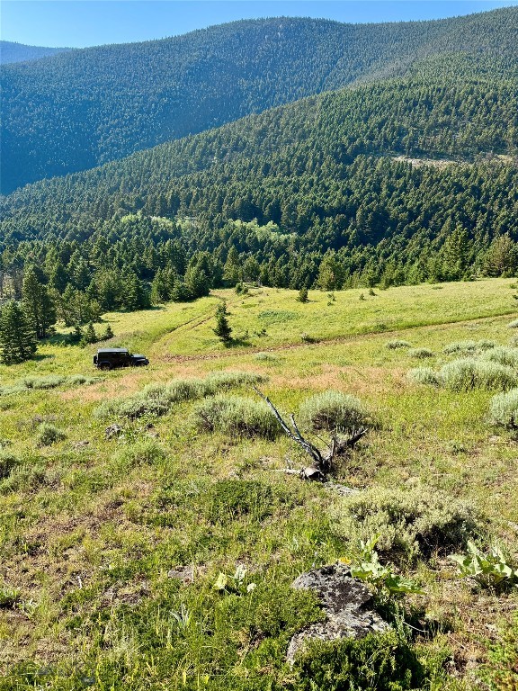 Yellowstone Basin Properties - Land