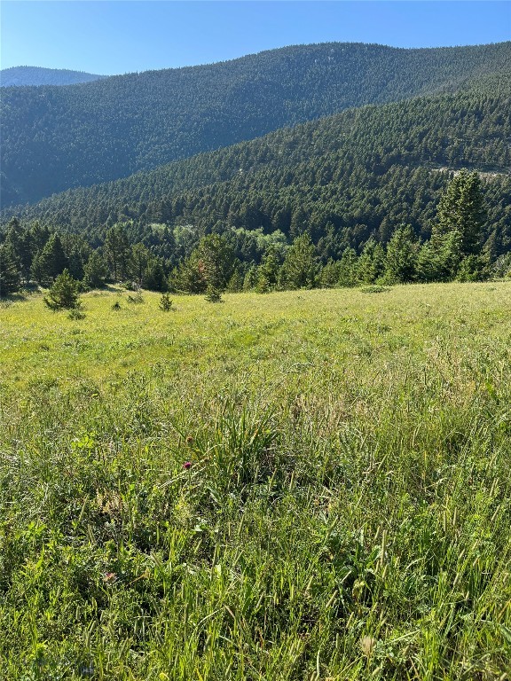 Yellowstone Basin Properties - Land