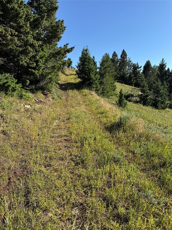 Yellowstone Basin Properties - Land