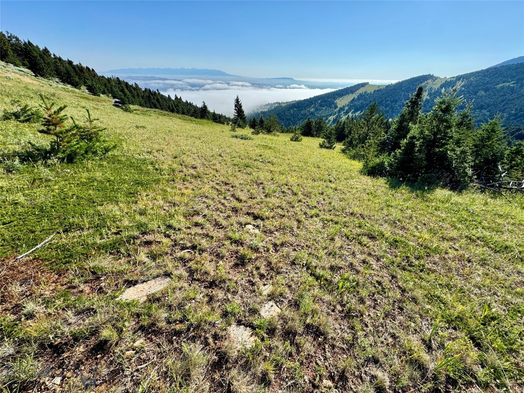 Yellowstone Basin Properties - Land