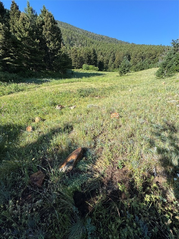 Yellowstone Basin Properties - Land