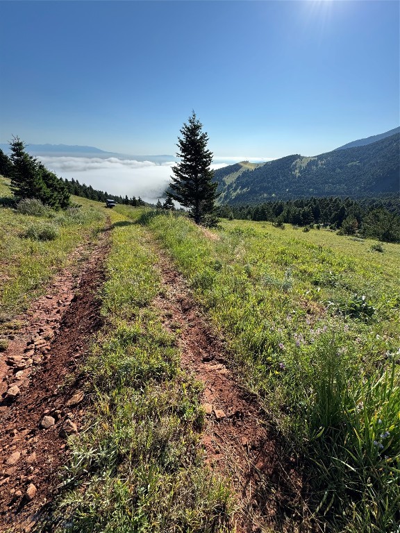Yellowstone Basin Properties - Land