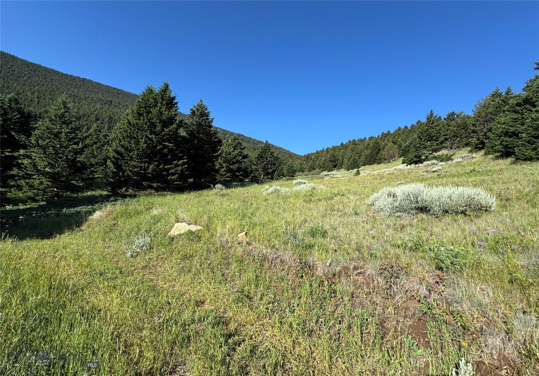 Yellowstone Basin Properties - Land