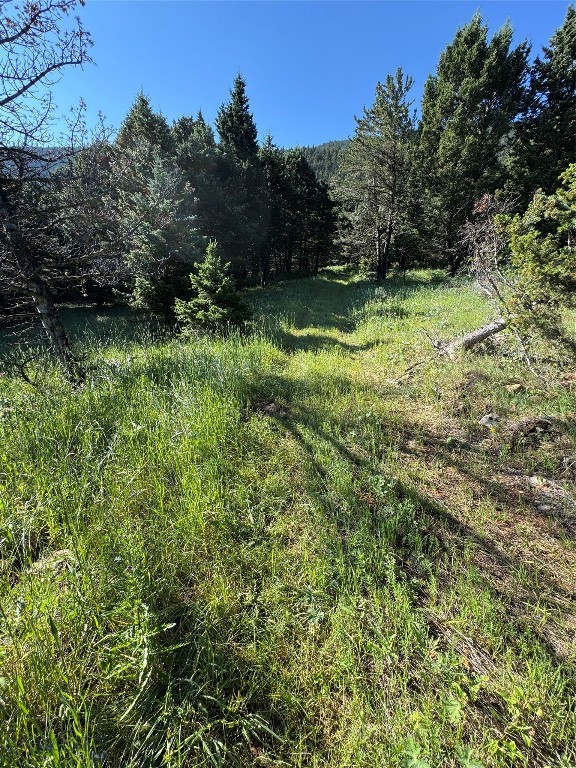 Yellowstone Basin Properties - Land