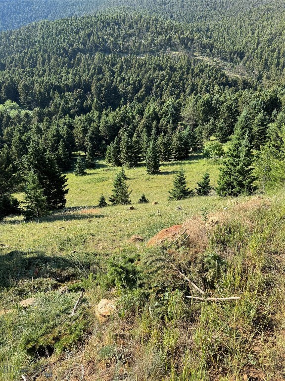 Yellowstone Basin Properties - Land