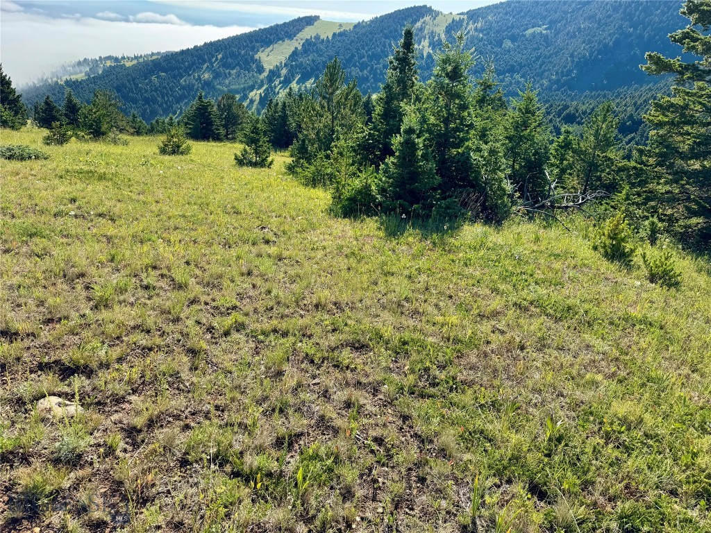 Yellowstone Basin Properties - Land