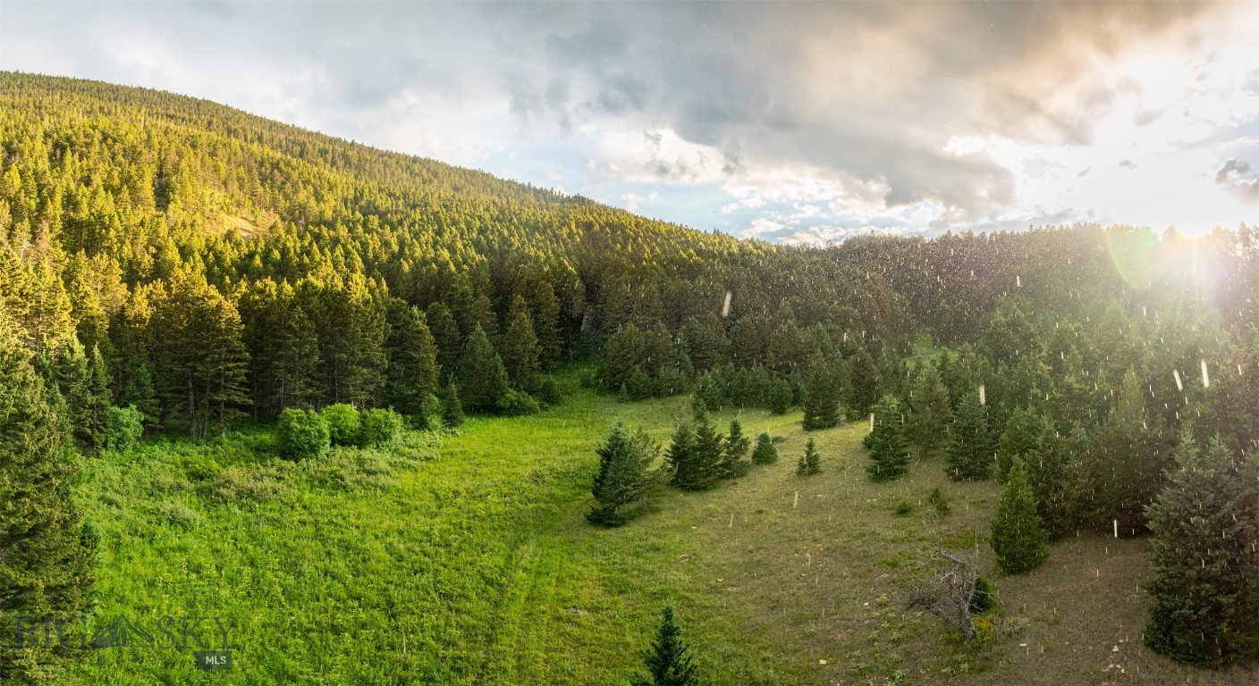 Yellowstone Basin Properties - Land