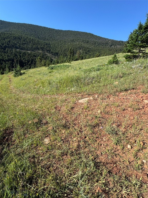 Yellowstone Basin Properties - Land