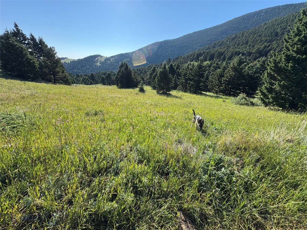 Yellowstone Basin Properties - Land